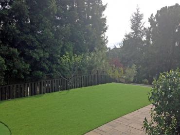 Artificial Grass Photos: Fake Grass Carpet Pacific City, Oregon Landscape Photos, Backyard Landscaping