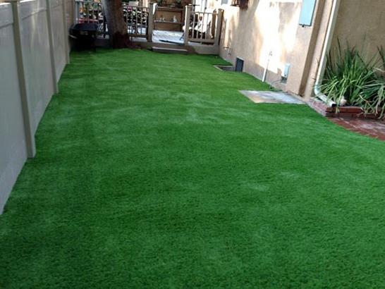 Artificial Grass Photos: Fake Grass Carpet Sunnyside, Oregon Backyard Deck Ideas, Small Backyard Ideas