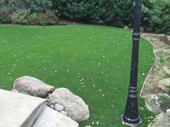 Artificial Grass Photos: Fake Grass Carpet Warm Springs, Oregon Lawn And Garden, Backyard Ideas