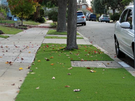 Artificial Grass Photos: Fake Grass Cornelius, Oregon Backyard Deck Ideas, Front Yard