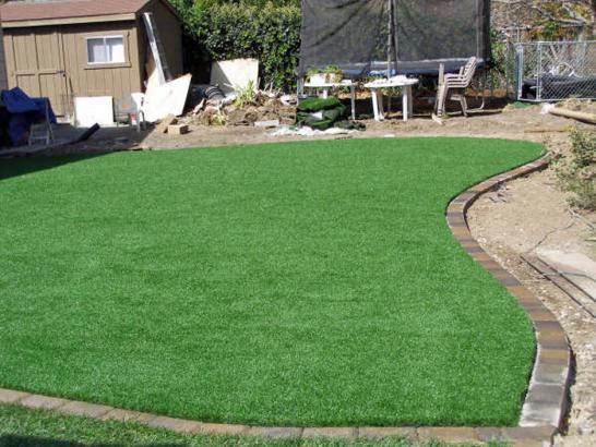 Artificial Grass Photos: Fake Grass Gervais, Oregon Landscape Rock, Backyard