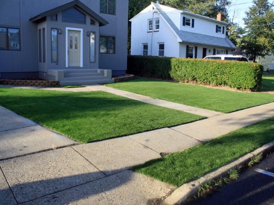 Artificial Grass Photos: Fake Grass Glide, Oregon Garden Ideas, Front Yard Landscaping