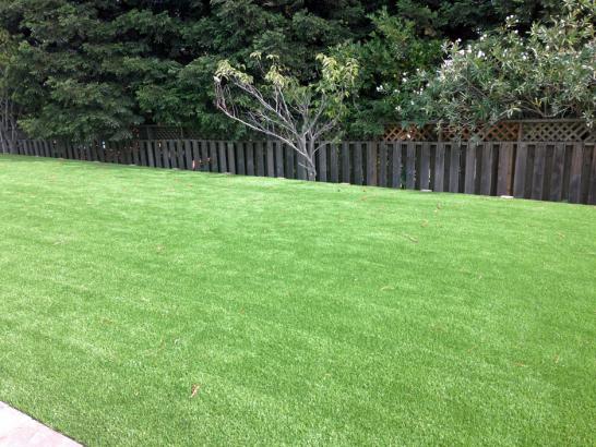 Artificial Grass Photos: Fake Grass Hammond, Oregon Rooftop, Backyard Design