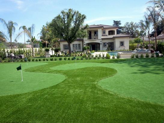 Artificial Grass Photos: Fake Grass Metzger, Oregon Gardeners, Front Yard