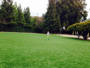 Artificial Grass Photos: Fake Grass Mulino, Oregon Red Turf, Recreational Areas