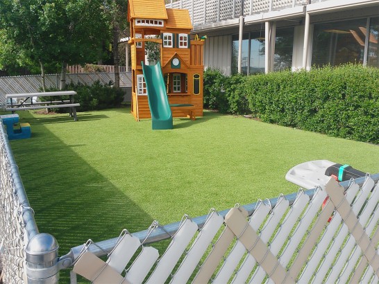 Artificial Grass Photos: Fake Grass Philomath, Oregon Landscape Photos, Backyard Design