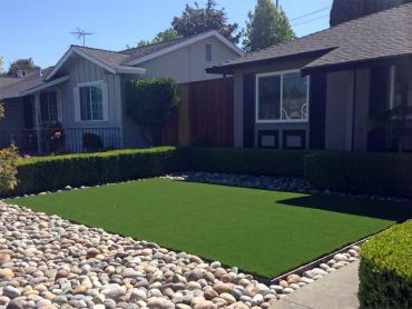 Artificial Grass Photos: Fake Grass Rickreall, Oregon Roof Top, Front Yard Landscape Ideas