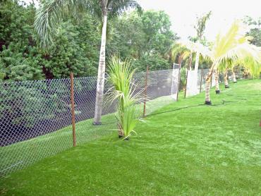 Artificial Grass Photos: Fake Grass Roseburg North, Oregon Garden Ideas, Small Backyard Ideas