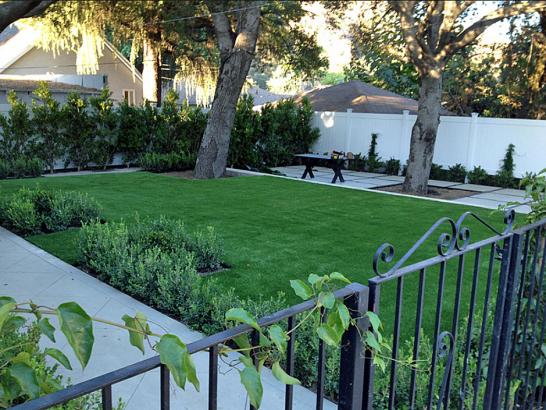 Artificial Grass Photos: Fake Grass Yamhill, Oregon Landscaping Business, Small Front Yard Landscaping