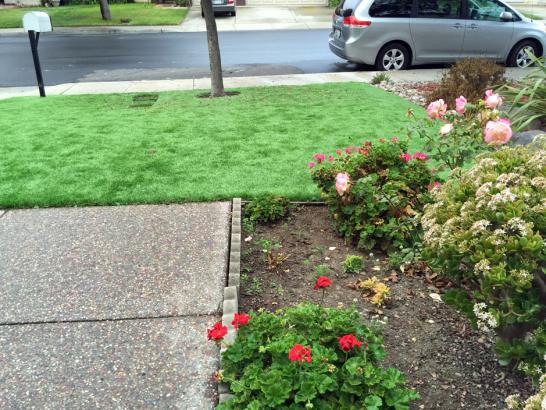 Artificial Grass Photos: Fake Lawn Barlow, Oregon Landscape Design, Landscaping Ideas For Front Yard