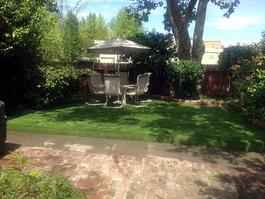 Artificial Grass Photos: Fake Lawn Echo, Oregon Landscape Ideas, Backyard Garden Ideas