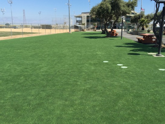 Grass Installation Jeffers Garden, Oregon Indoor Dog Park ...