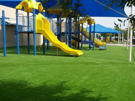 Artificial Grass Photos: Fake Lawn Grass Valley, Oregon Lawn And Landscape, Commercial Landscape