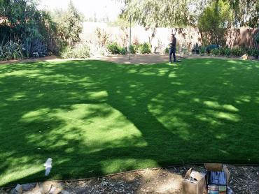 Artificial Grass Photos: Fake Lawn Mill City, Oregon Lawns, Backyard Design