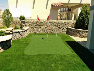 Artificial Grass Photos: Fake Lawn Milwaukie, Oregon City Landscape, Backyard Design