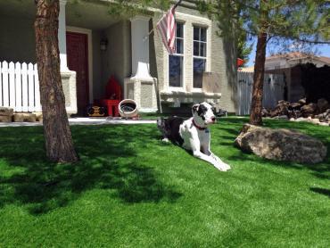 Artificial Grass Photos: Fake Lawn Monument, Oregon Grass For Dogs, Front Yard Landscaping