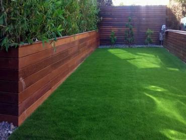 Artificial Grass Photos: Fake Lawn Oakland, Oregon Design Ideas, Backyard Garden Ideas