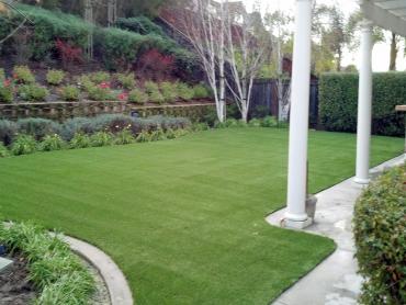 Artificial Grass Photos: Fake Lawn Pendleton, Oregon Dog Running, Backyard Design