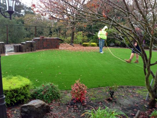 Artificial Grass Photos: Fake Lawn Shaniko, Oregon Paver Patio, Backyard Designs