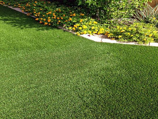 Artificial Grass Photos: Fake Lawn Spray, Oregon Gardeners, Front Yard Landscaping Ideas