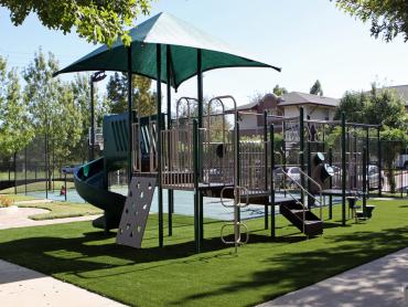 Artificial Grass Photos: Fake Turf Albany, Oregon Athletic Playground, Parks