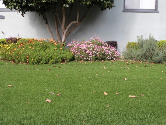 Artificial Grass Photos: Fake Turf Brownsville, Oregon Design Ideas, Front Yard Landscape Ideas