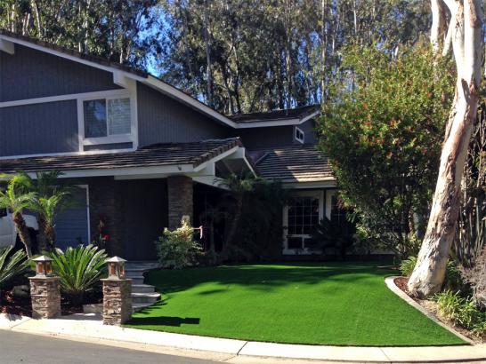 Artificial Grass Photos: Fake Turf Four Corners, Oregon Backyard Deck Ideas, Front Yard