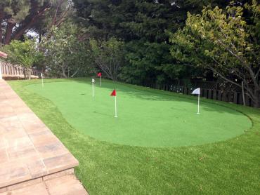 Artificial Grass Photos: Fake Turf Lacomb, Oregon Putting Green Turf, Backyard Design