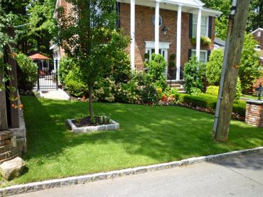 Artificial Grass Photos: Fake Turf Melrose, Oregon Design Ideas, Front Yard Design