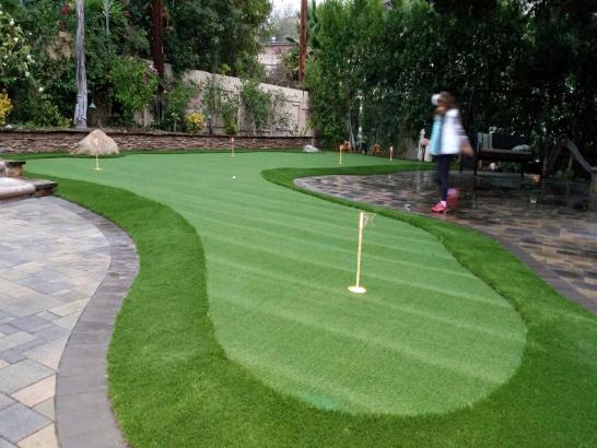 Artificial Grass Photos: Fake Turf Milwaukie, Oregon Home And Garden, Backyard Landscape Ideas