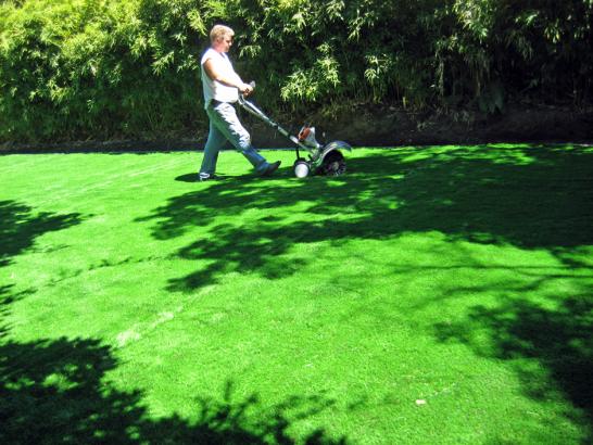 Artificial Grass Photos: Fake Turf Moro, Oregon Backyard Deck Ideas, Small Backyard Ideas