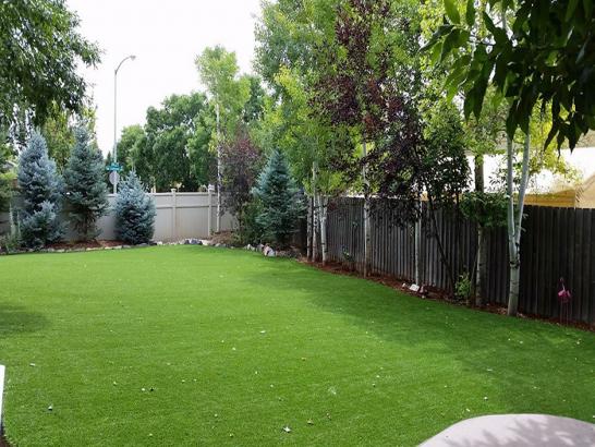 Artificial Grass Photos: Fake Turf Mount Hood, Oregon Lawn And Garden, Backyard Garden Ideas