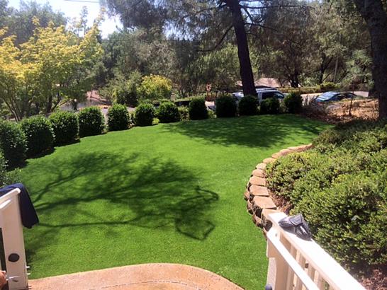 Artificial Grass Photos: Fake Turf Oakland, Oregon Lawns, Backyard Garden Ideas