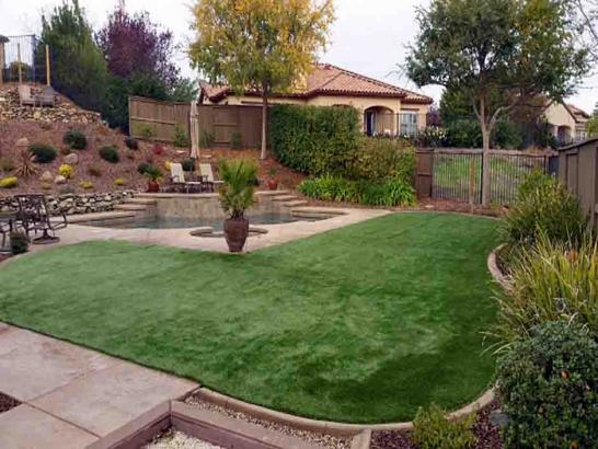 Fake Turf Stayton, Oregon Roof Top, Backyard Ideas artificial grass