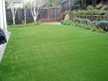 Artificial Grass Photos: Fake Turf Tri-City, Oregon Paver Patio, Backyard Designs