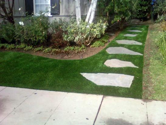 Artificial Grass Photos: Fake Turf Winchester Bay, Oregon Home And Garden, Front Yard Landscape Ideas