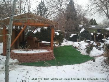 Artificial Grass Photos: Faux Grass Aloha, Oregon Garden Ideas, Backyard Design