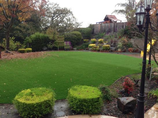 Artificial Grass Photos: Faux Grass Bend, Oregon Rooftop, Backyard Designs