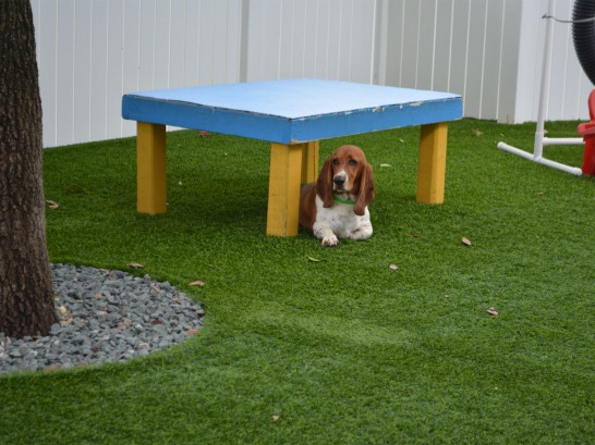 Artificial Grass Photos: Faux Grass Fossil, Oregon Drainage, Grass for Dogs