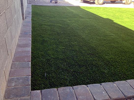 Artificial Grass Photos: Faux Grass Gates, Oregon Dog Grass, Front Yard Landscaping