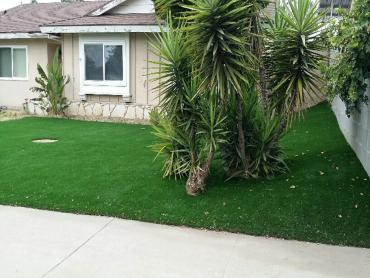 Artificial Grass Photos: Faux Grass Grand Ronde, Oregon Landscape Photos, Front Yard