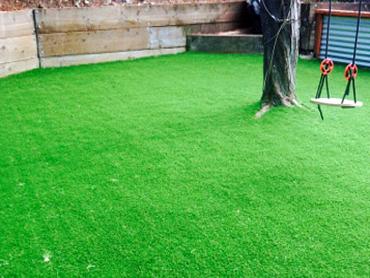 Artificial Grass Photos: Faux Grass Hillsboro, Oregon Playground, Beautiful Backyards