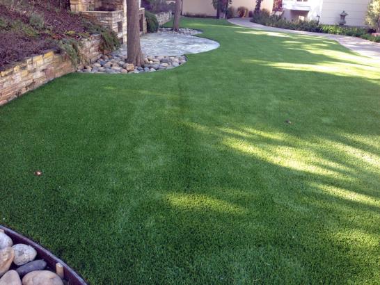 Artificial Grass Photos: Faux Grass Oakridge, Oregon Design Ideas, Backyard Landscape Ideas