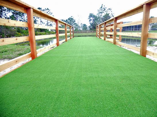 Artificial Grass Photos: Faux Grass Siletz, Oregon Lawns, Commercial Landscape