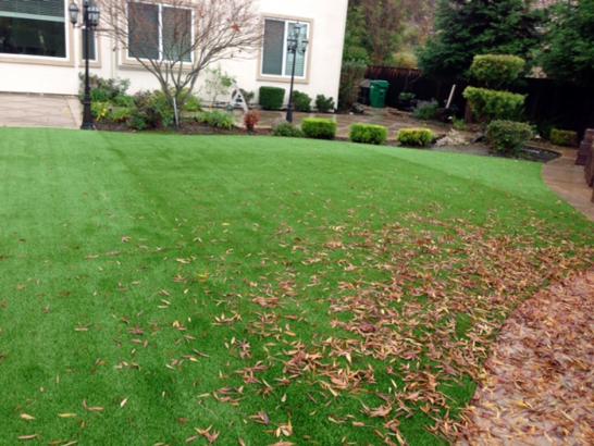 Artificial Grass Photos: Faux Grass Tri-City, Oregon Roof Top, Small Backyard Ideas