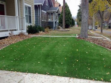 Artificial Grass Photos: Faux Grass Veneta, Oregon Landscape Photos, Landscaping Ideas For Front Yard