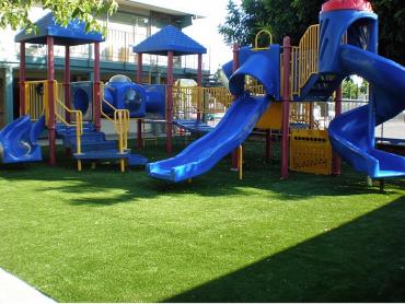 Artificial Grass Photos: Faux Grass Willamina, Oregon Design Ideas, Commercial Landscape