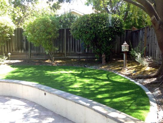 Artificial Grass Photos: Grass Carpet Antelope, Oregon Design Ideas, Commercial Landscape