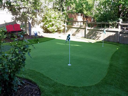 Artificial Grass Photos: Grass Carpet Bayside Gardens, Oregon Lawn And Landscape, Backyard Landscaping Ideas