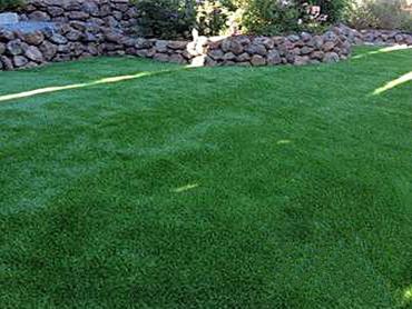 Artificial Grass Photos: Grass Carpet Bethany, Oregon Dog Park, Backyard Makeover